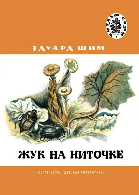 Обложка Жук на ниточке