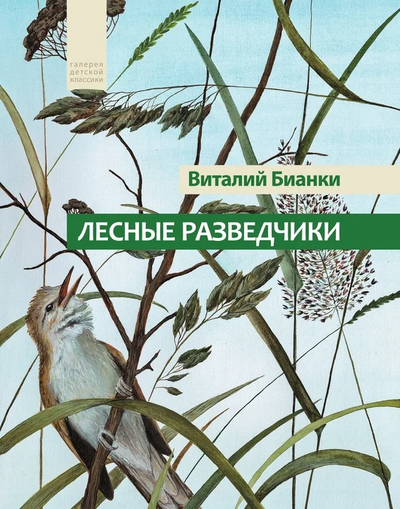 Обложка Лесные разведчики