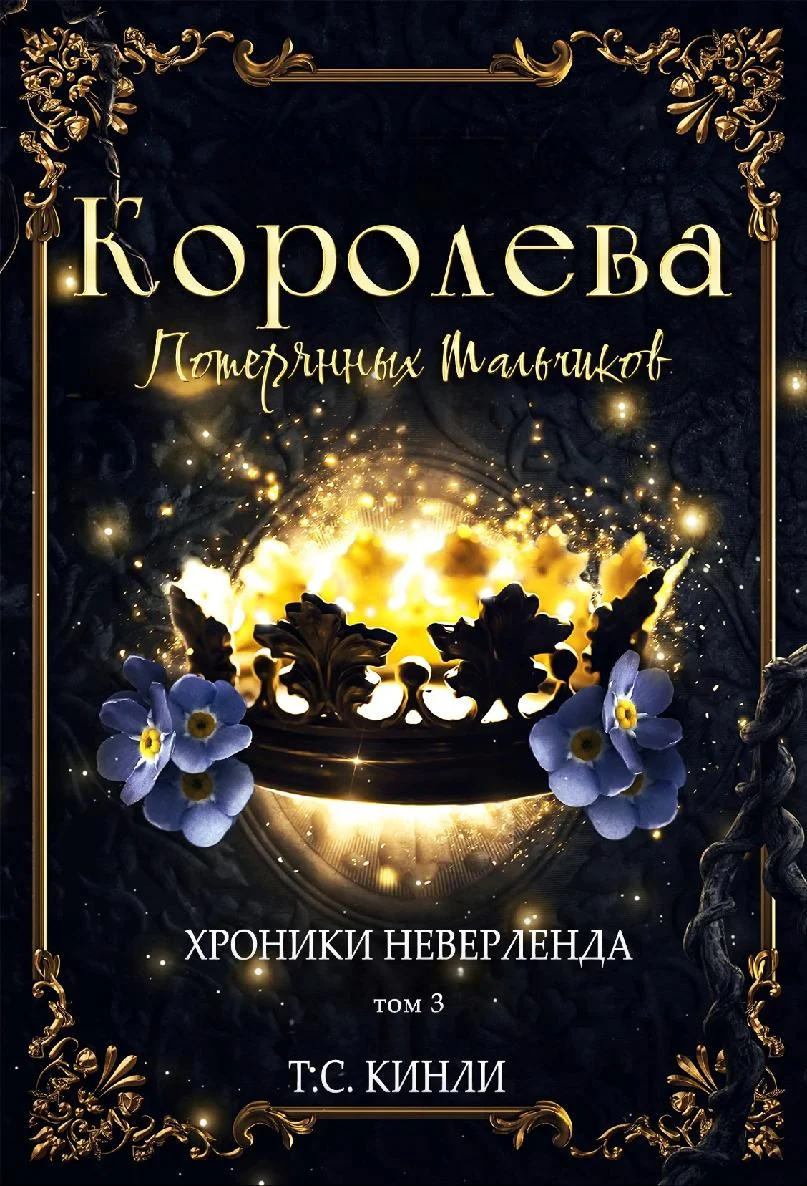 Обложка Королева Потерянных Мальчиков