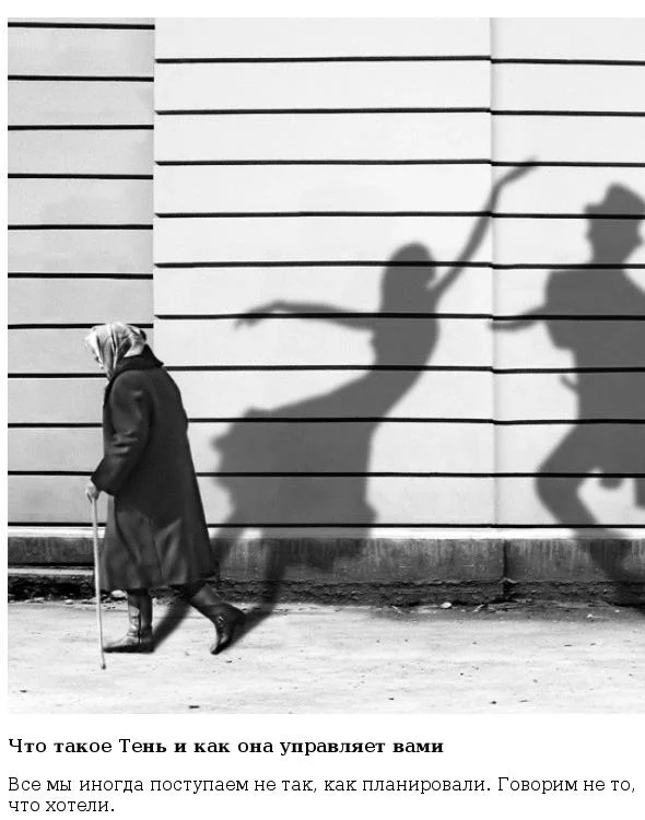 Обложка Тень, которая управляет нами