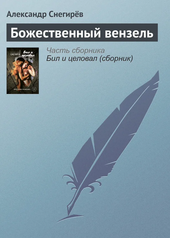 Обложка Божественный вензель