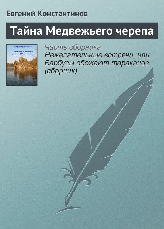 Обложка Тайна Медвежьего черепа