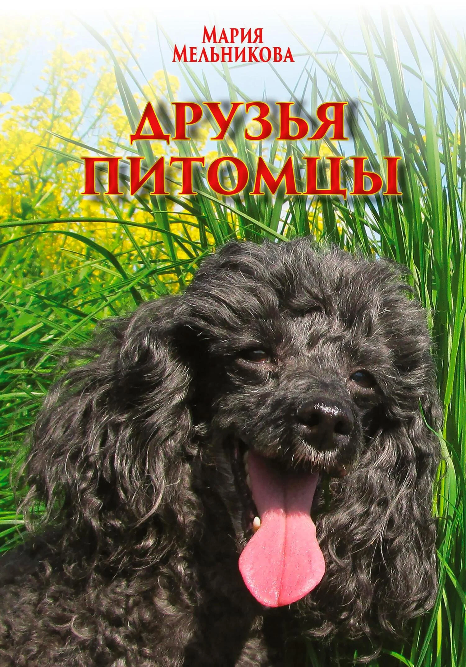 Обложка Друзья-питомцы