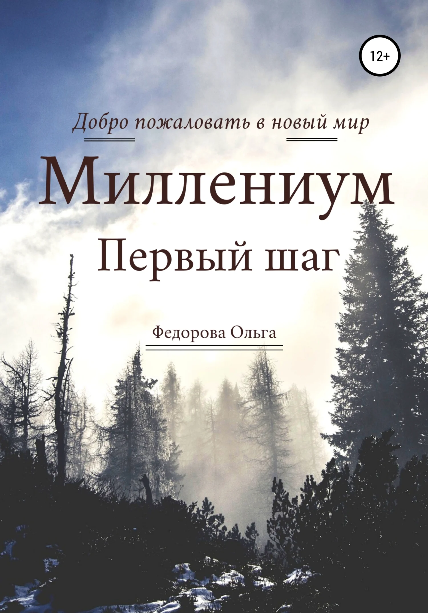 Обложка Миллениум. Первый шаг