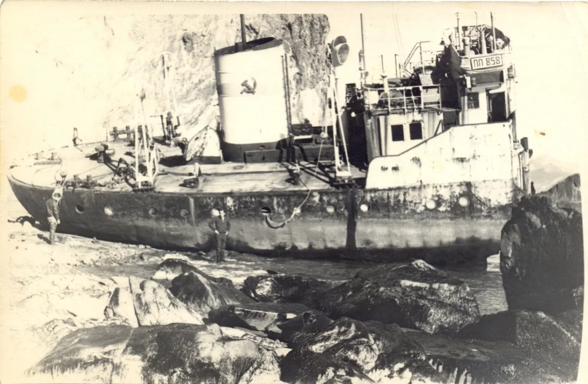 Обложка Жизнь и смерть в тропических и ледяных морях