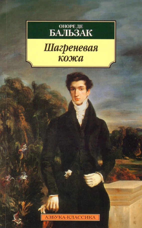 Обложка Шагреневая кожа