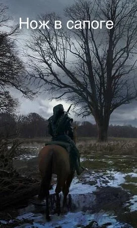 Обложка Черный кот