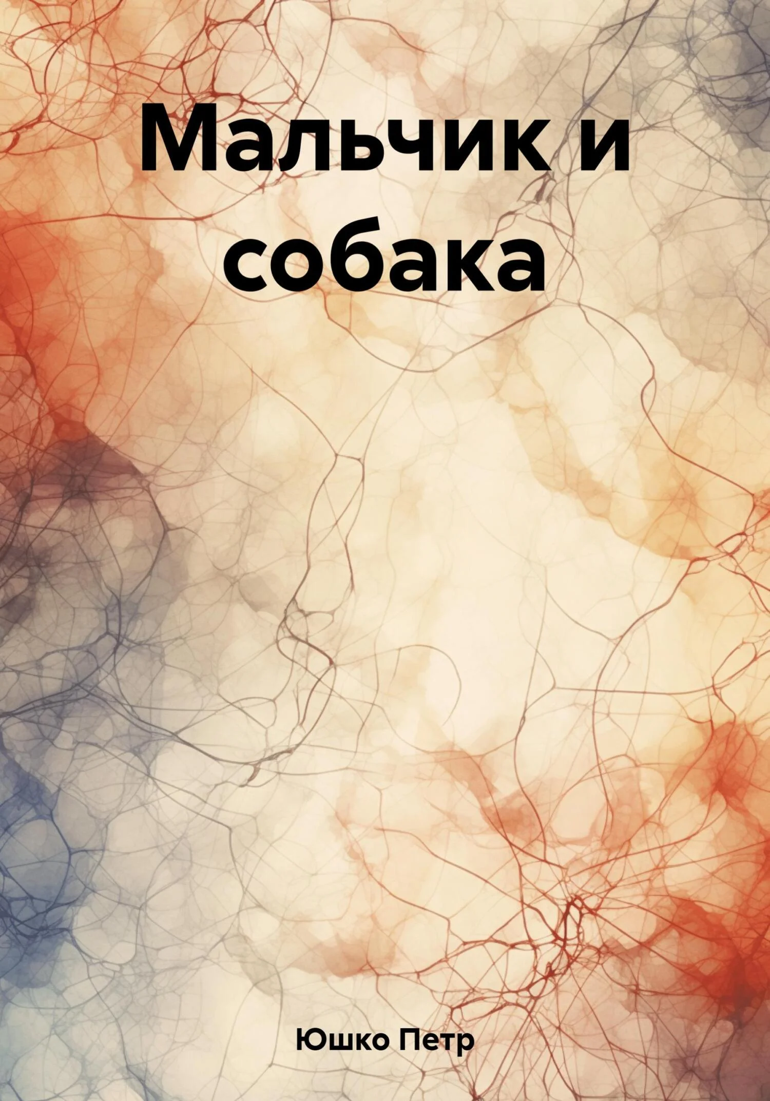 Обложка Мальчик и собака