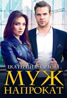 Обложка Муж напрокат