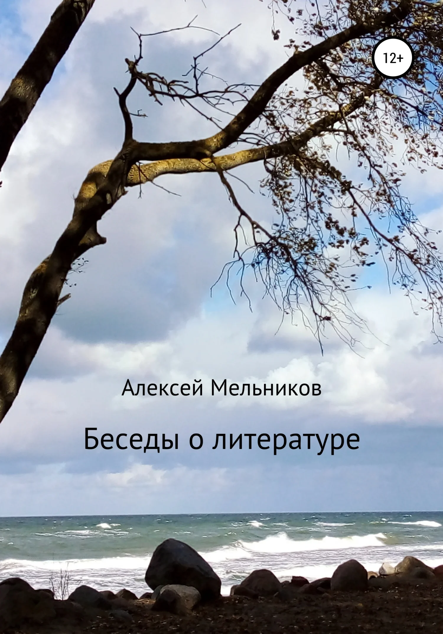 Обложка Беседы о литературе