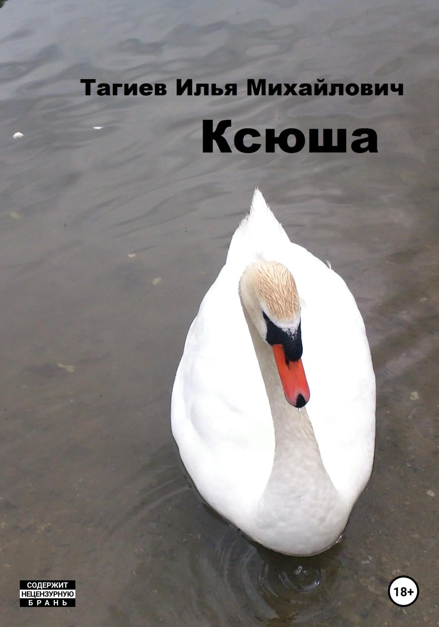 Обложка Ксюша