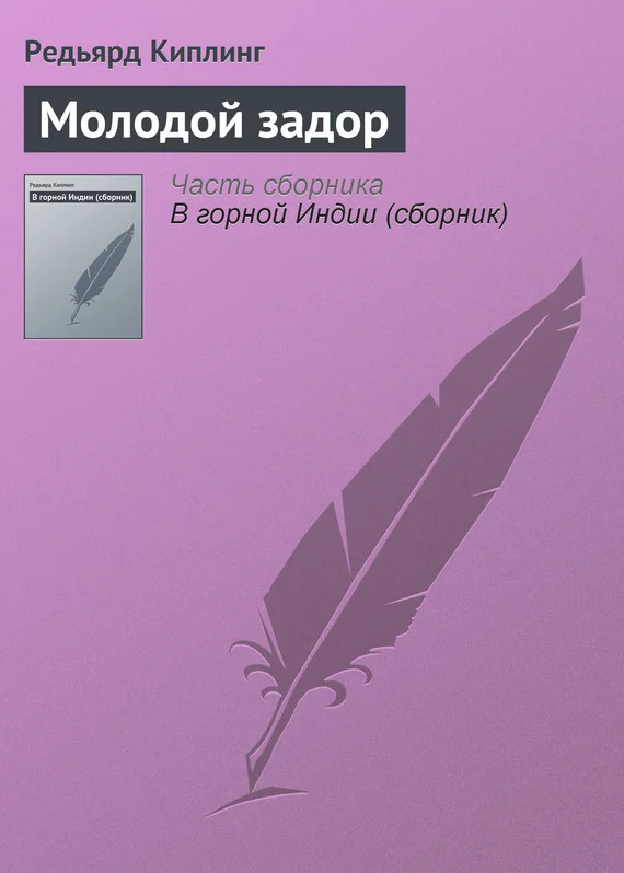 Обложка Молодой задор
