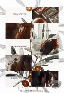 Обложка Облепиховый чай (СИ)