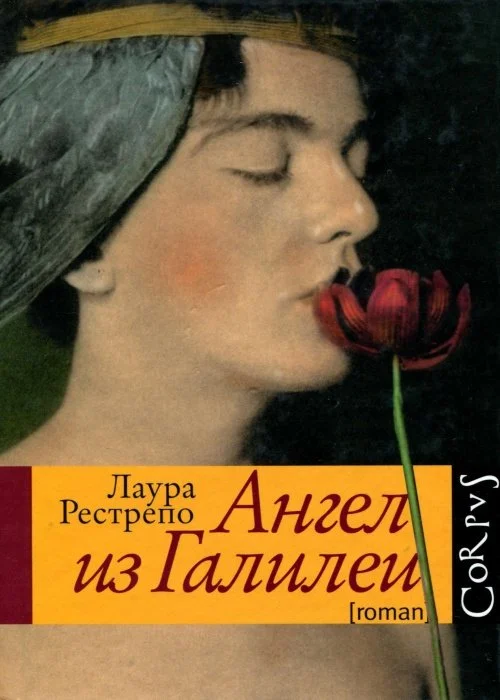 Обложка Ангел из Галилеи