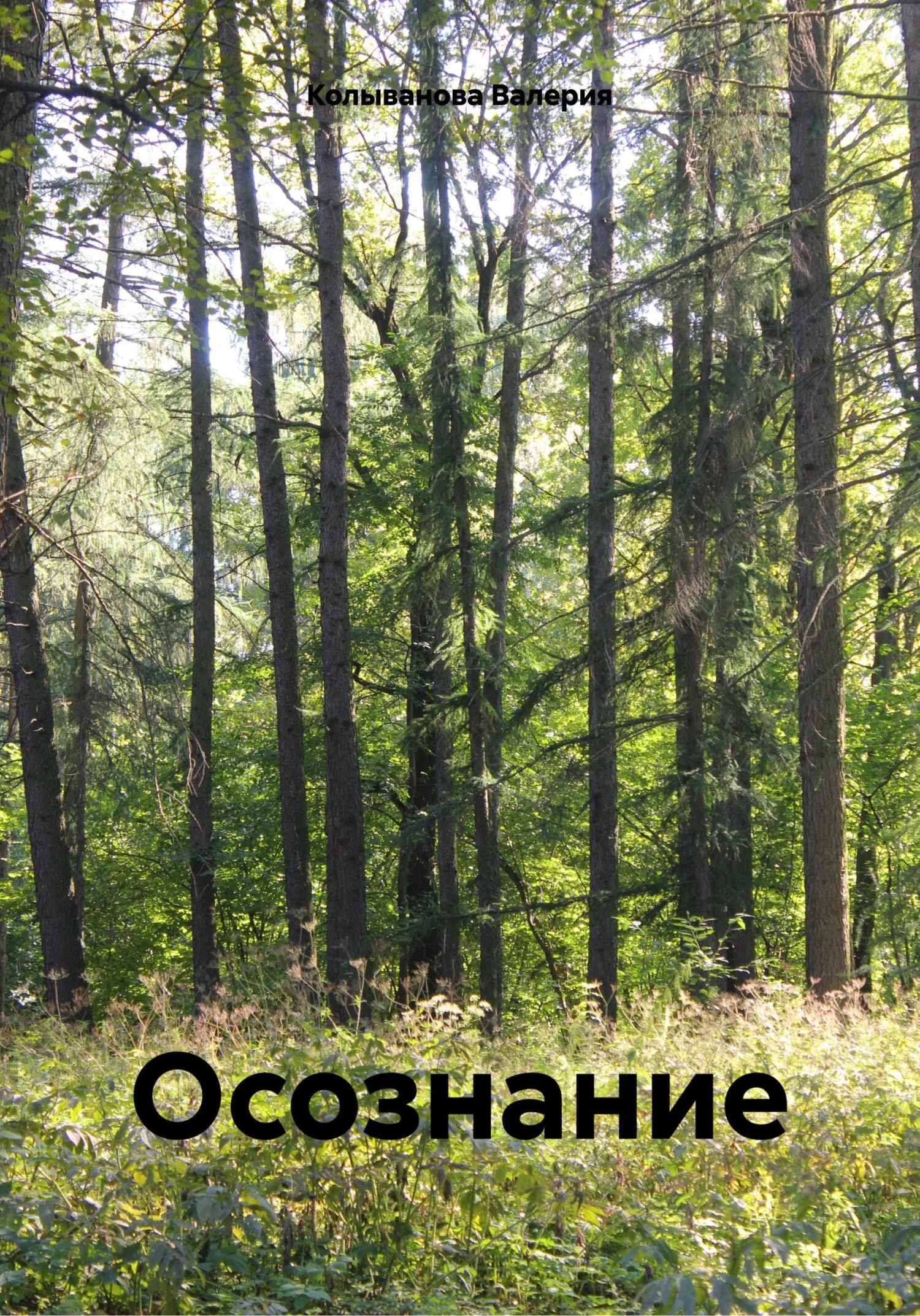 Обложка Осознание
