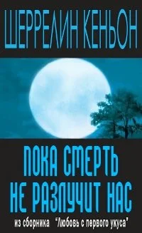 Обложка Пока смерть не разлучит нас