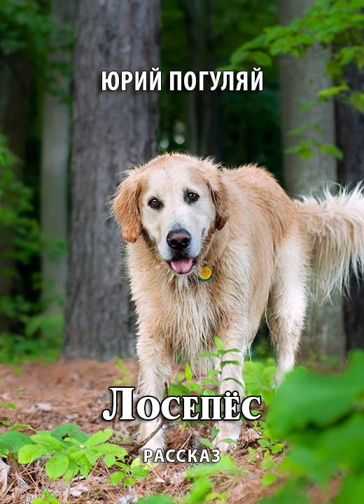 Обложка Лосепёс