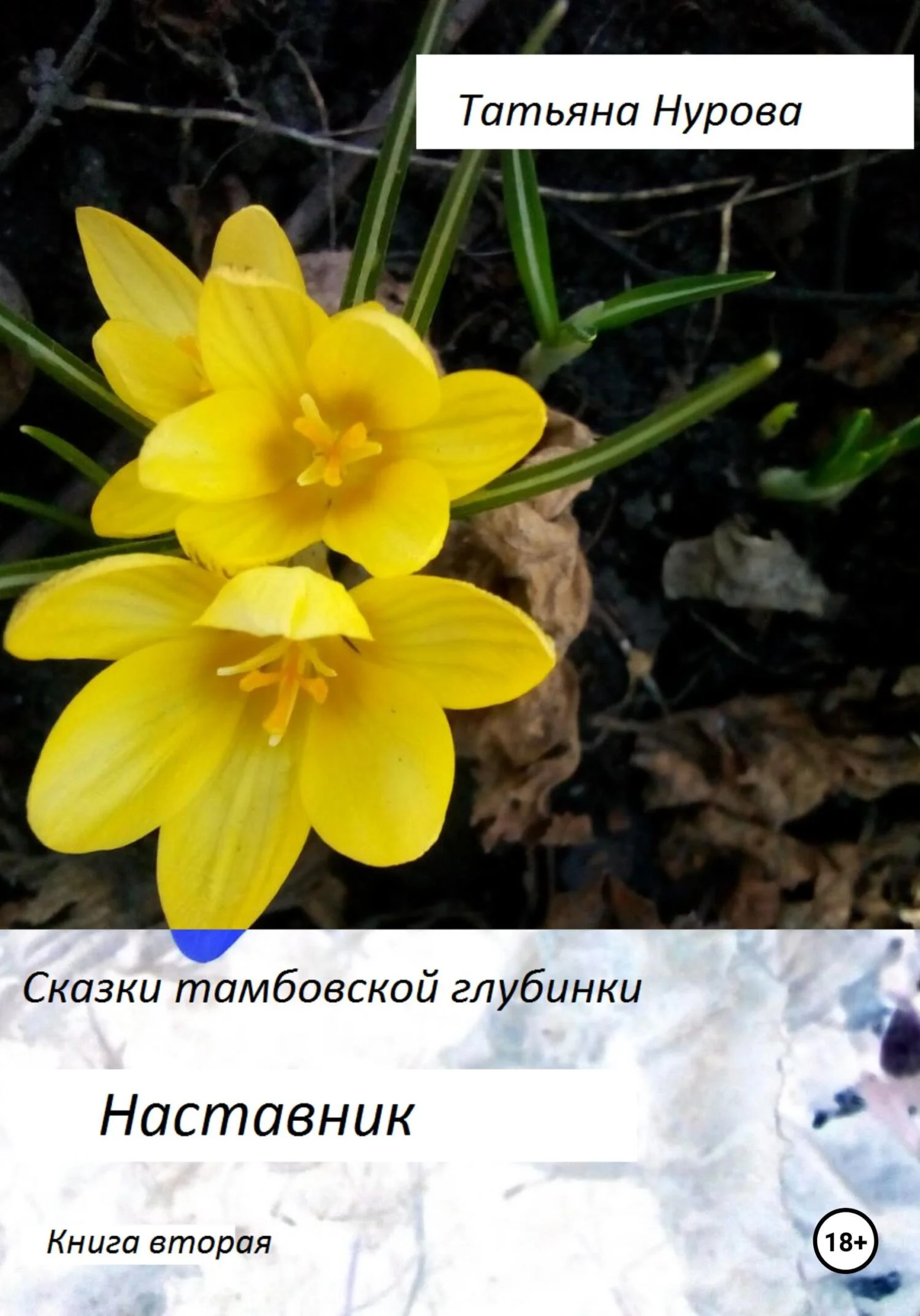 Обложка Наставник