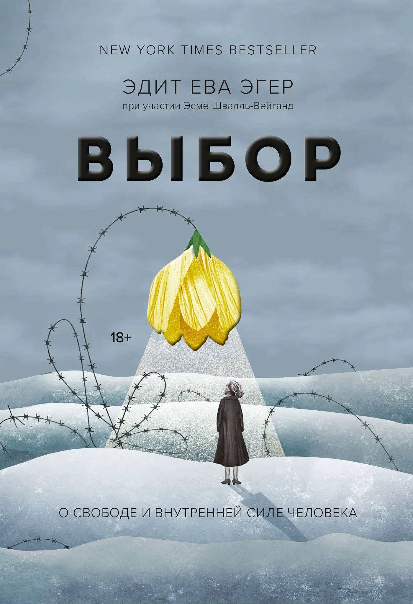 Обложка Выбор. О свободе и внутренней силе человека