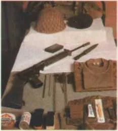 Обложка «Дикие гуси» убивают на рассвете: Тайная война против Африки.