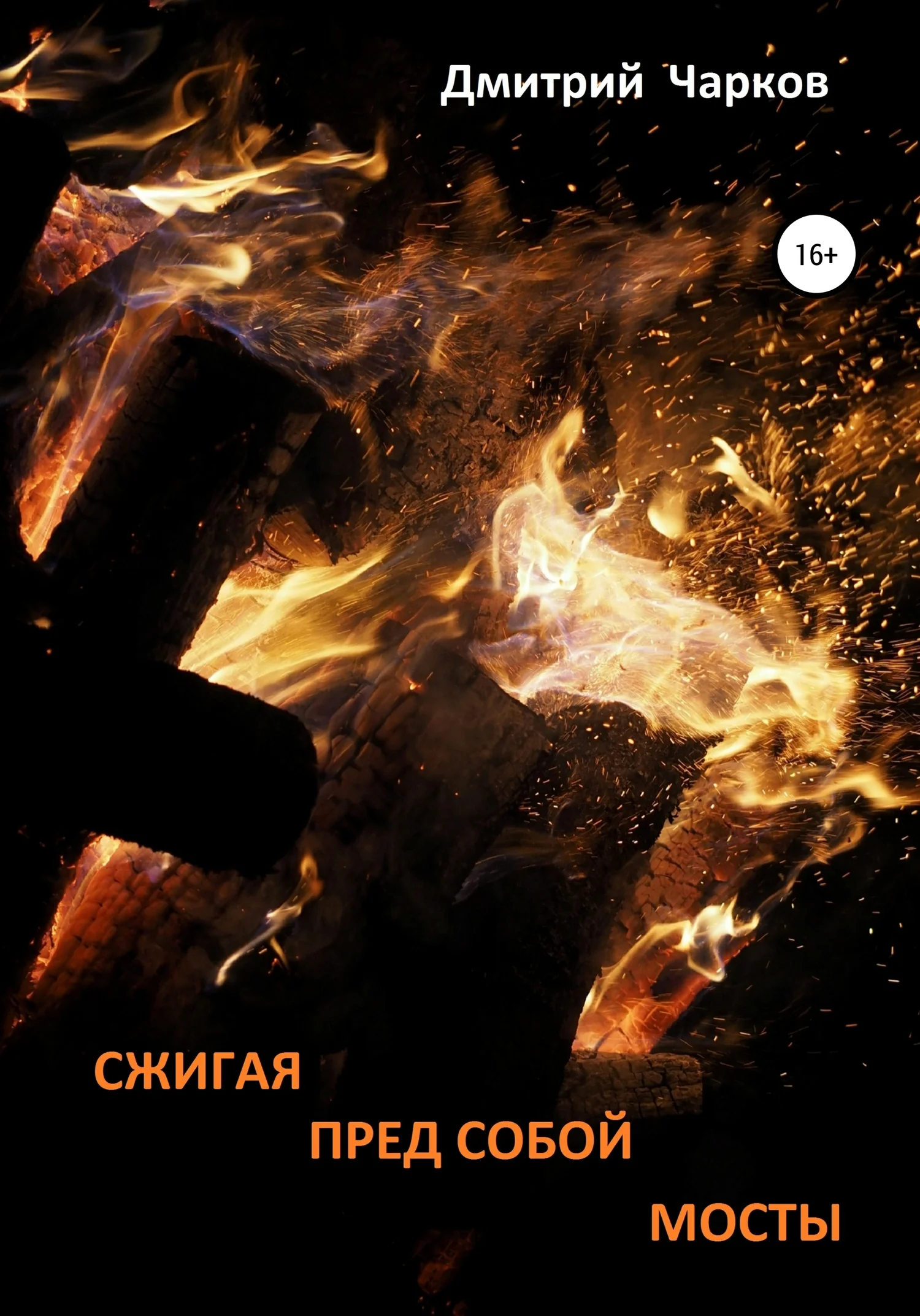 Обложка Сжигая пред собой мосты