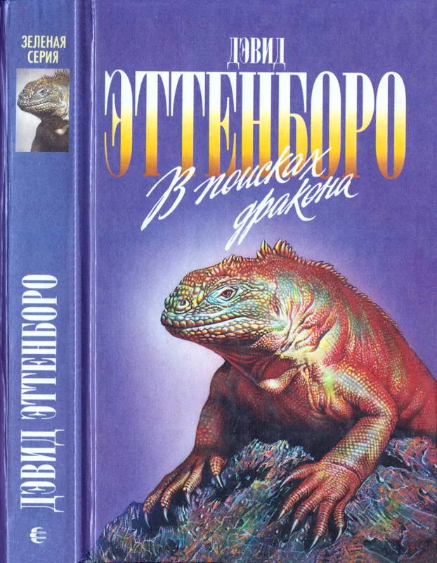 Обложка В поисках дракона