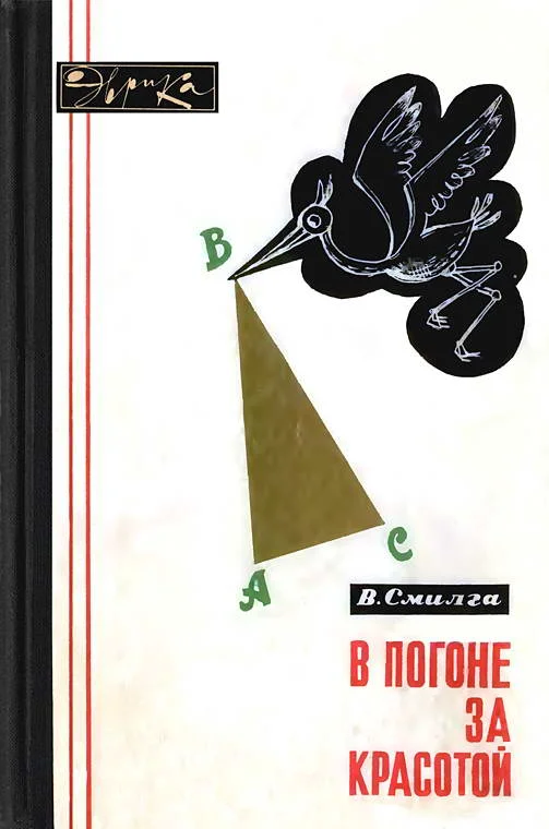 Обложка В погоне за красотой