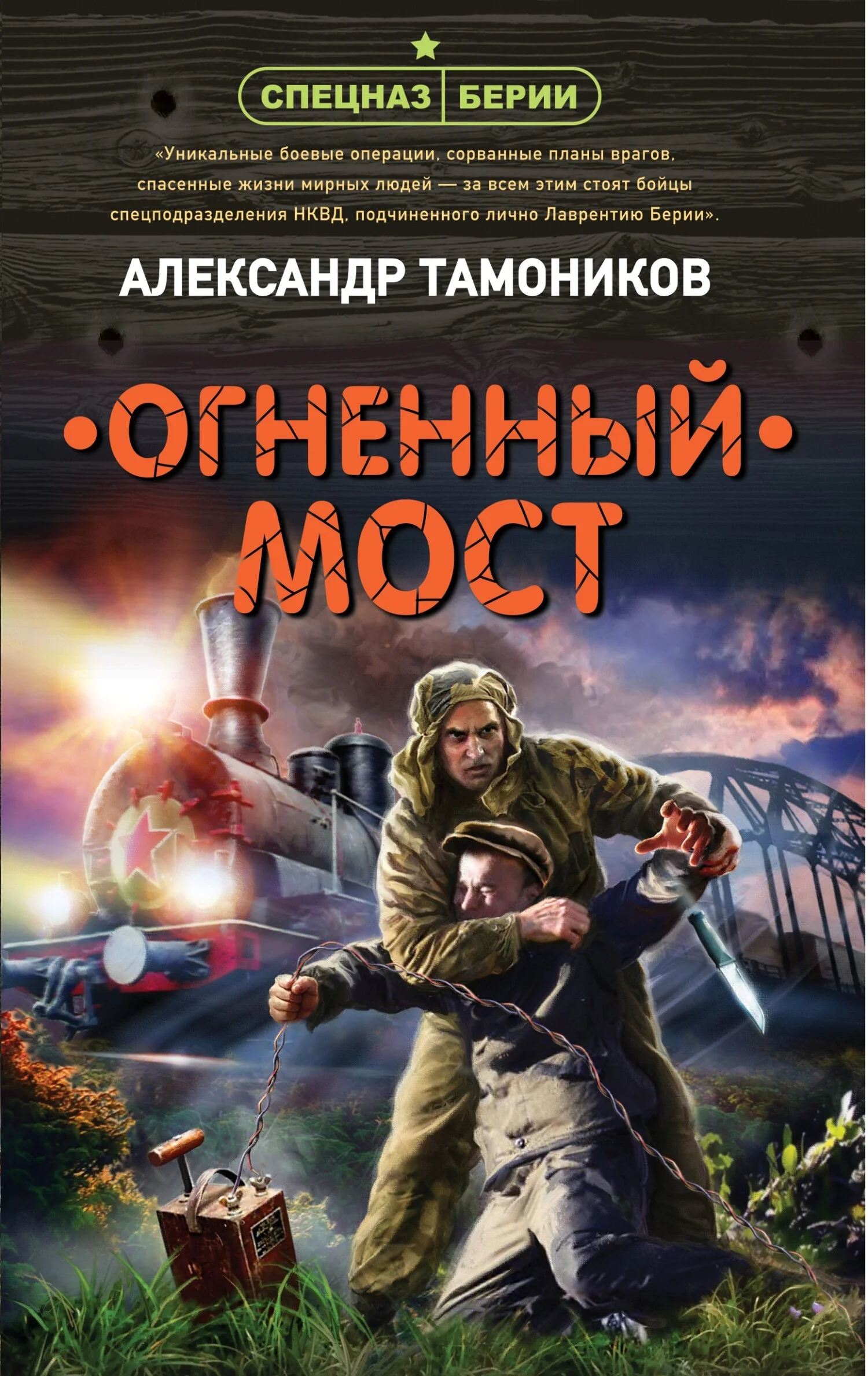 Обложка Огненный мост
