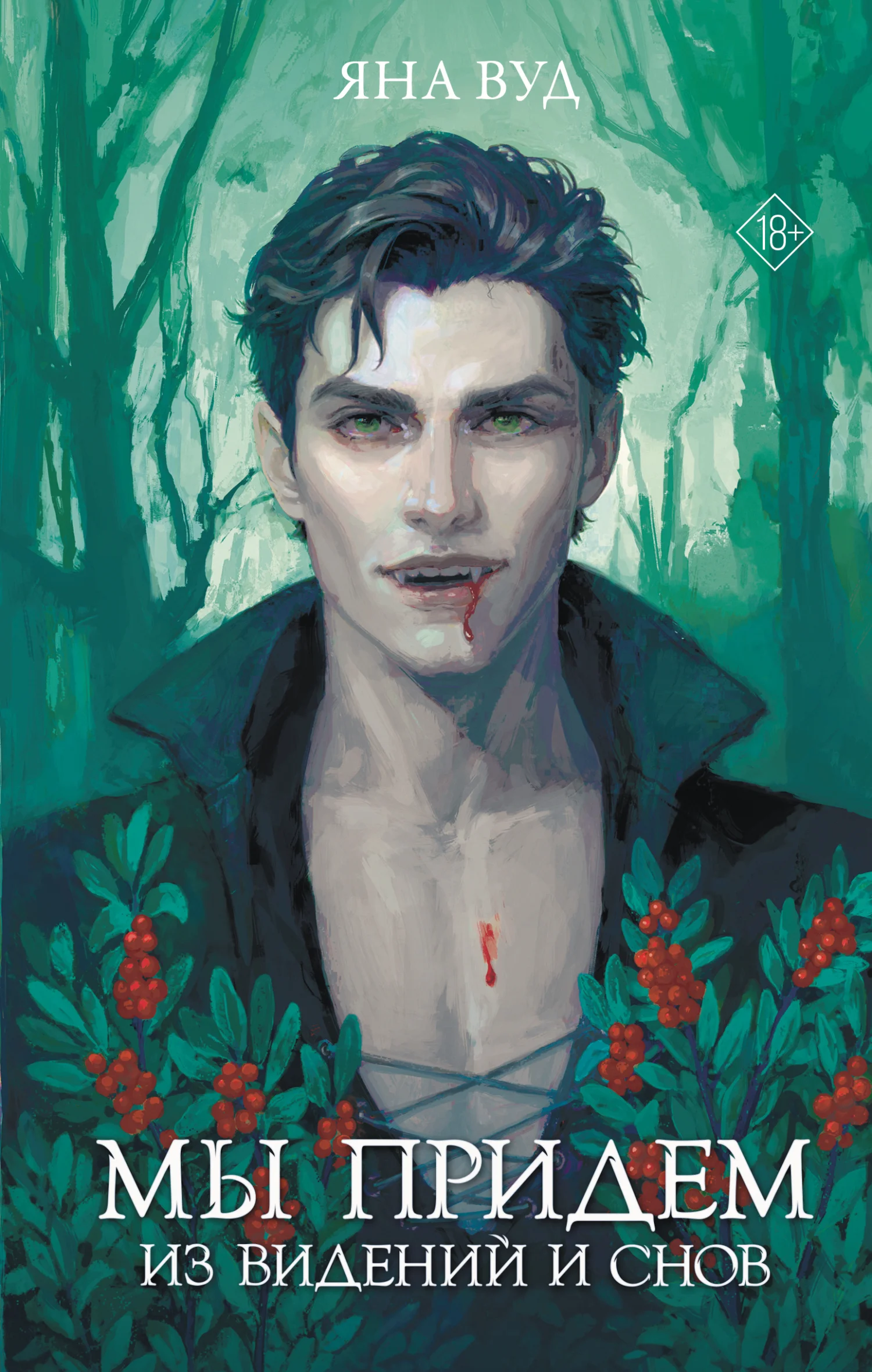 Обложка Мы придём из видений и снов