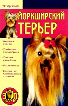 Обложка Йоркширский терьер