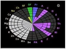 Обложка Чистка организма без идиотизма