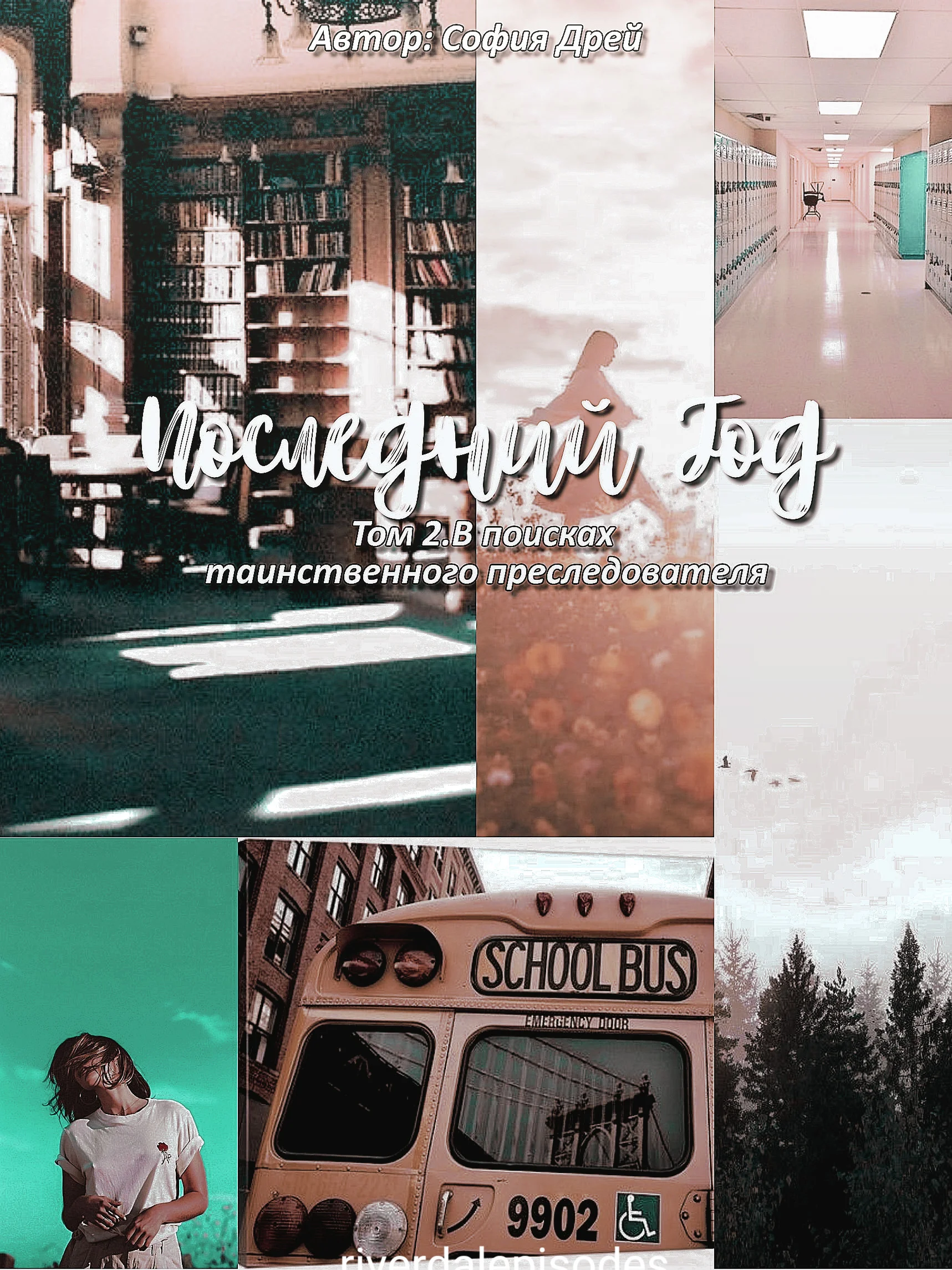 Обложка В поисках тайного преследователя.