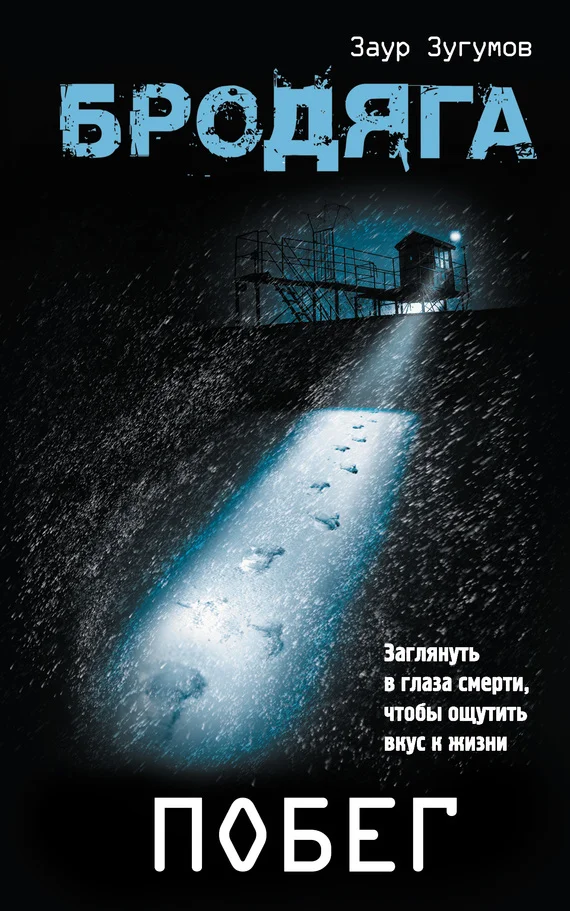 Обложка Бродяга. Побег