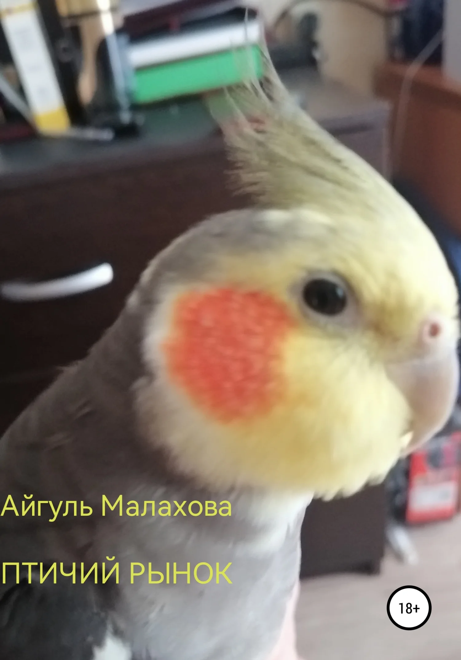 Обложка Птичий рынок