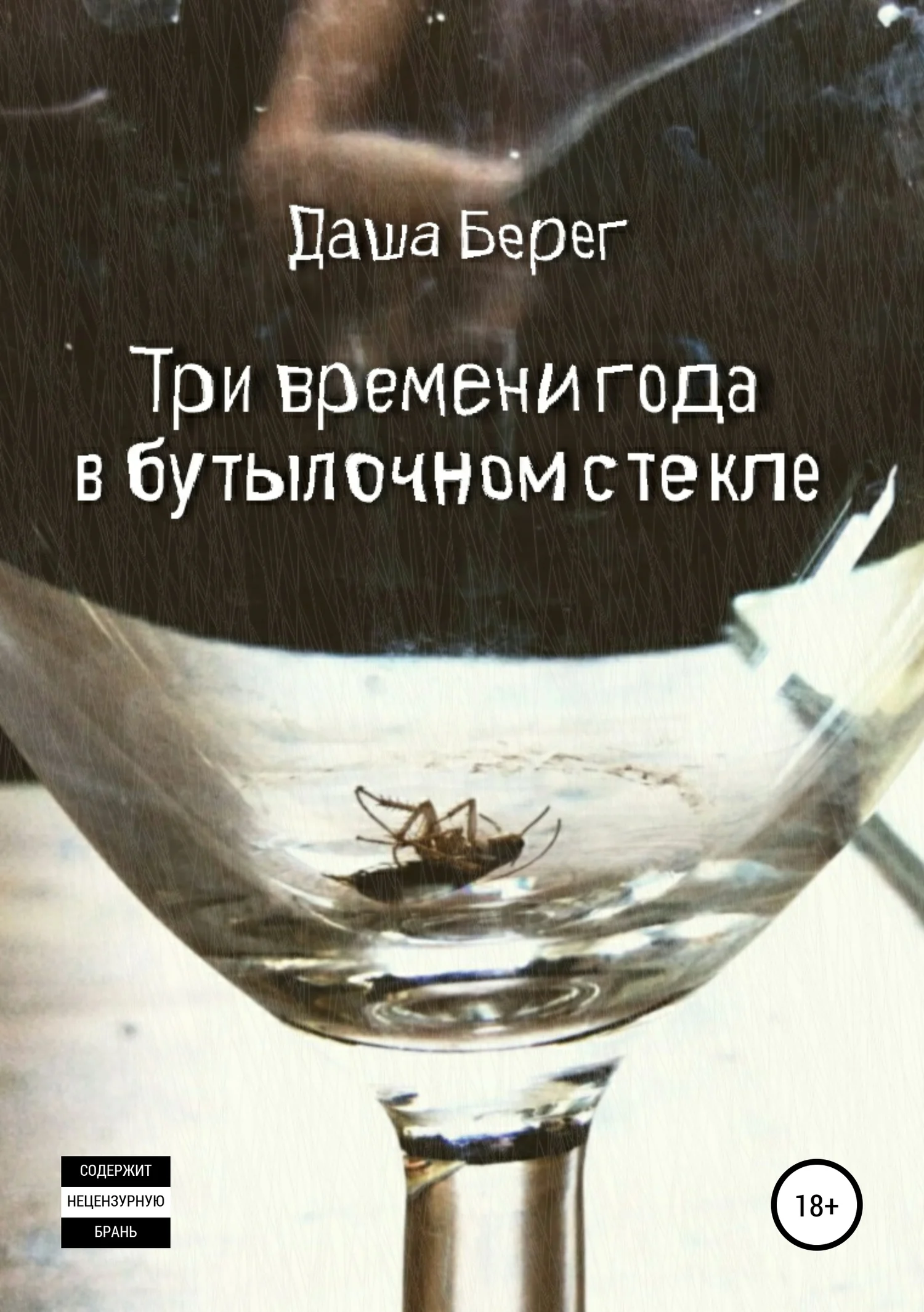 Обложка Три времени года в бутылочном стекле