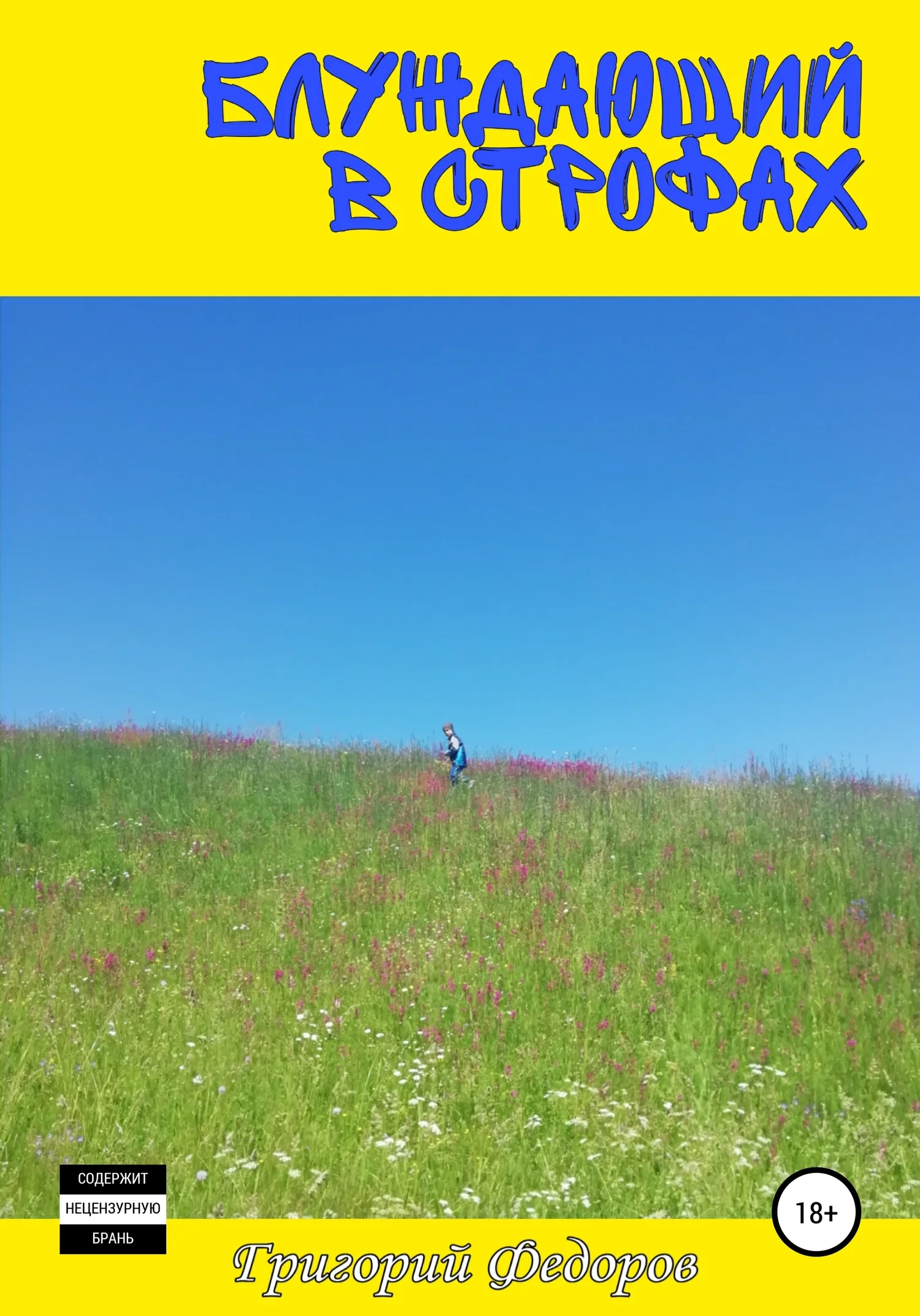 Обложка Блуждающий в строфах