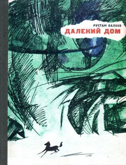 Обложка Далекий дом