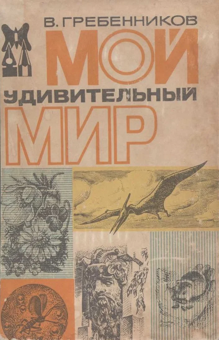 Обложка Мой удивительный мир