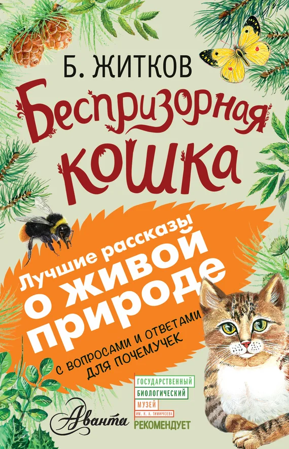 Обложка Беспризорная кошка