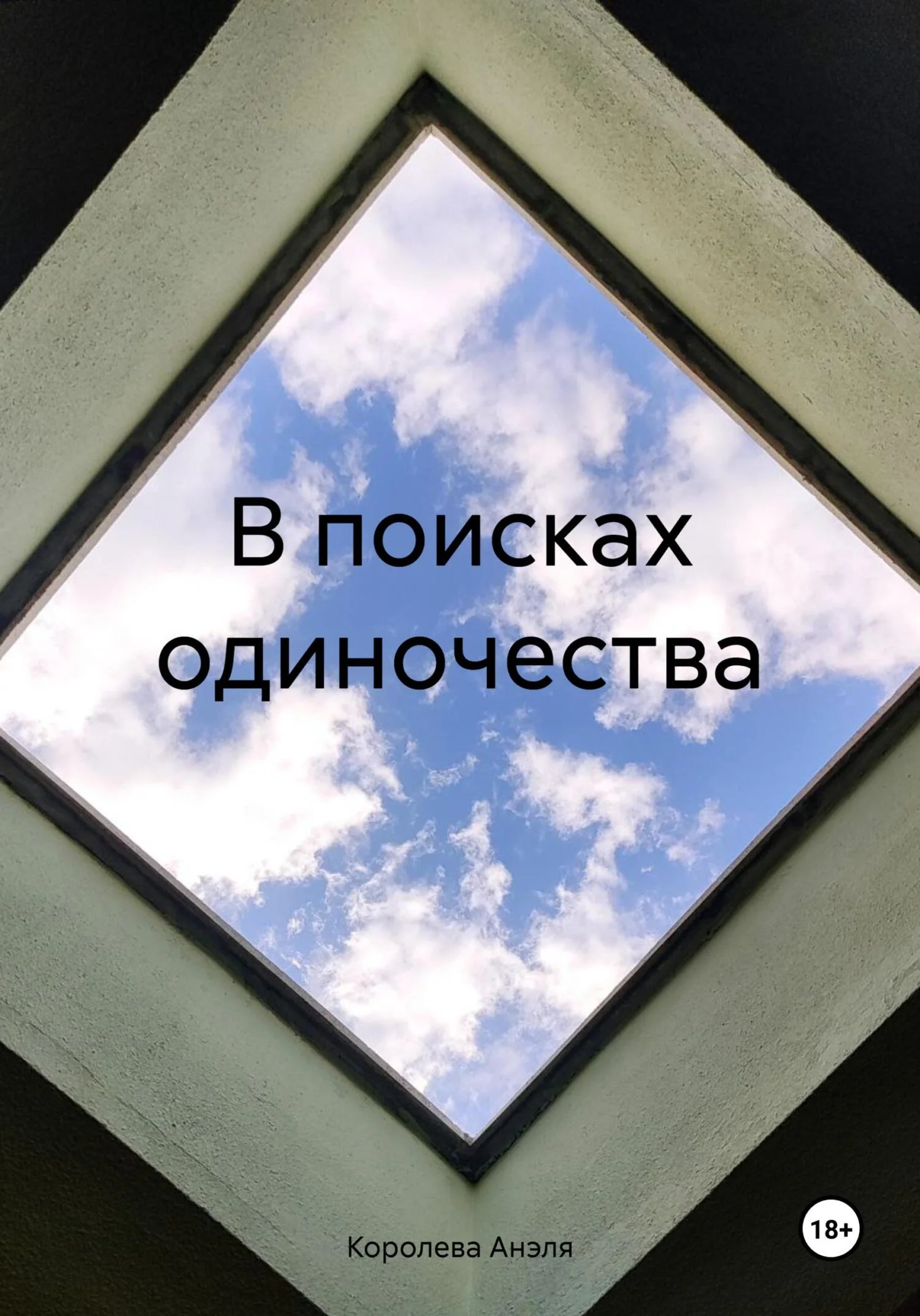 Обложка В поисках одиночества