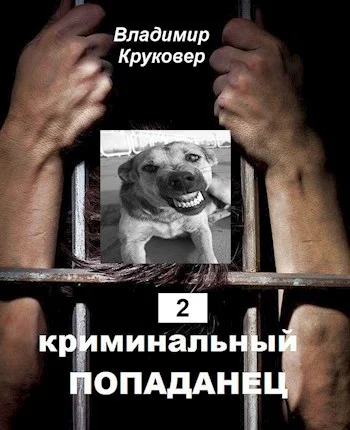 Обложка Криминальный попаданец 2