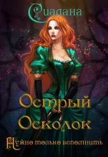 Обложка Острый осколок