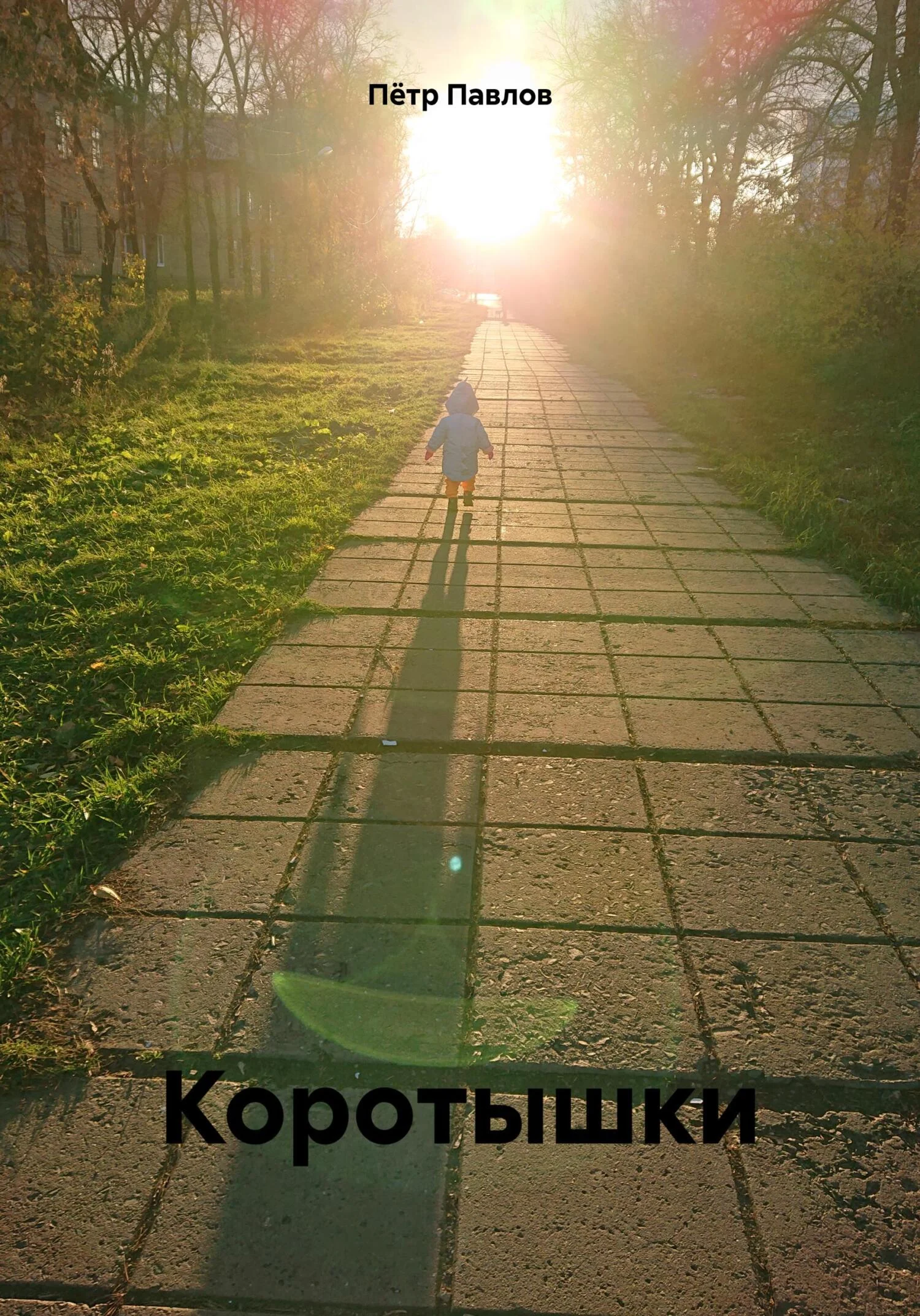 Обложка Коротышки