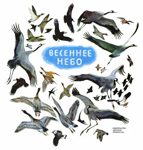 Обложка Весеннее небо