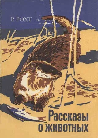 Обложка Рассказы о животных
