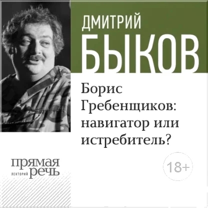 Обложка Борис Гребенщиков: навигатор или истребитель?