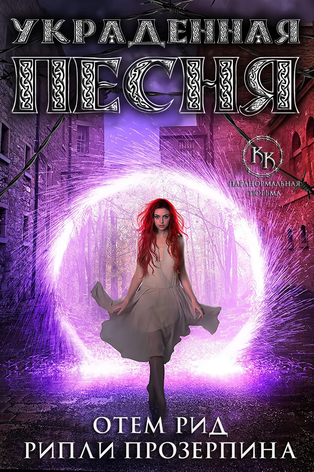 Обложка Украденная песня