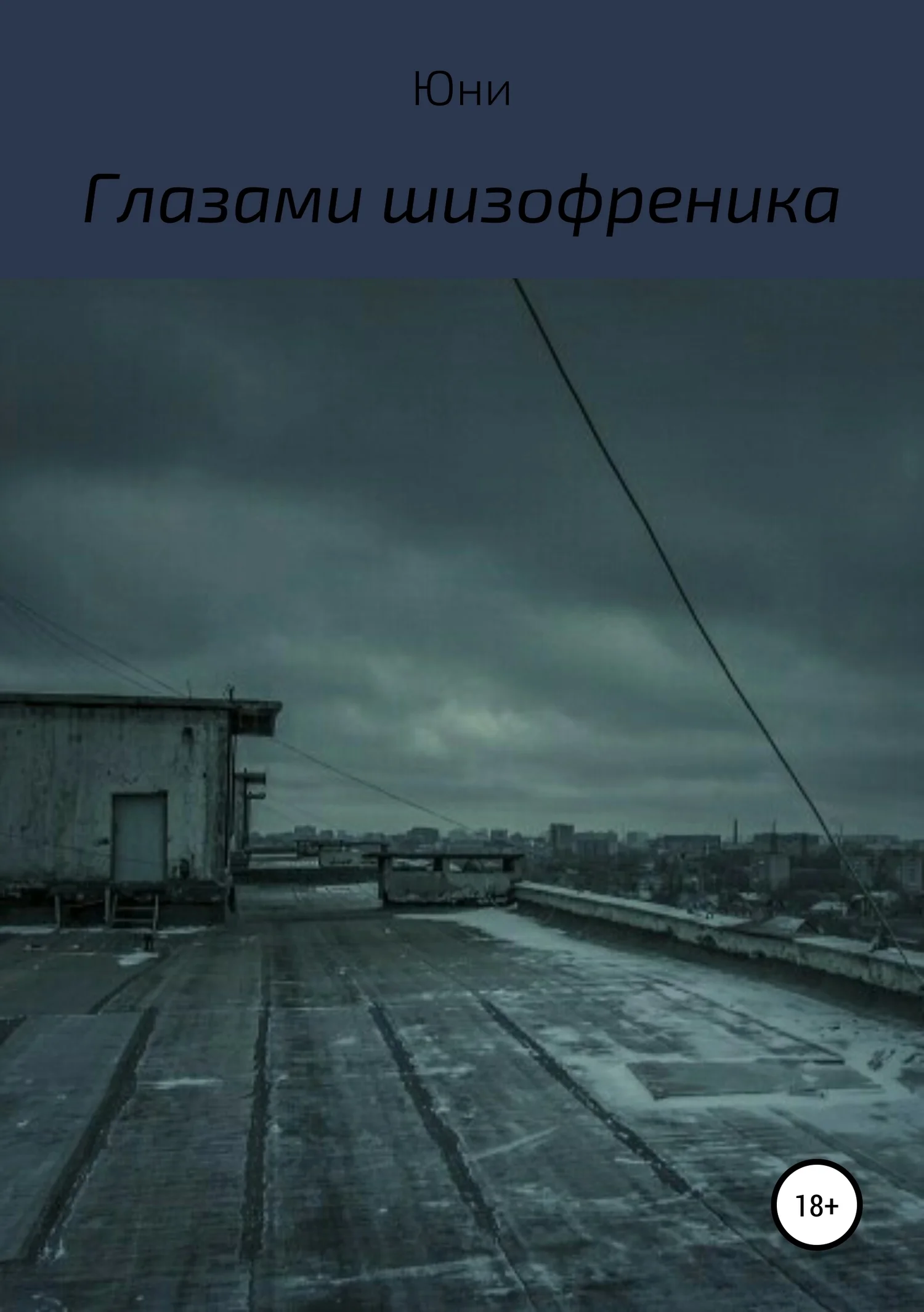 Обложка Глазами шизофреника