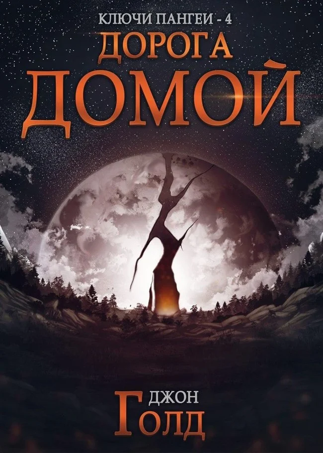 Обложка Дорога домой