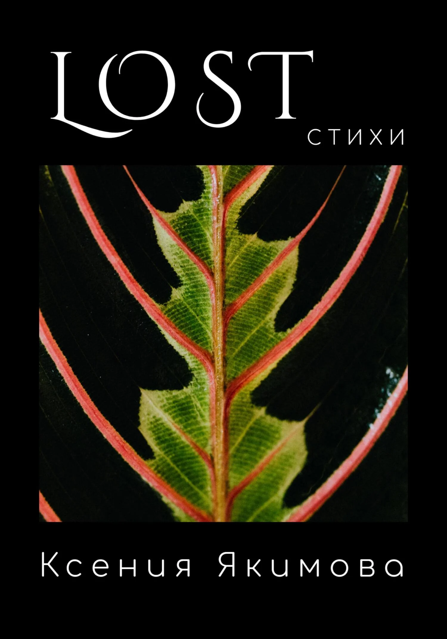Обложка Lost. Стихи